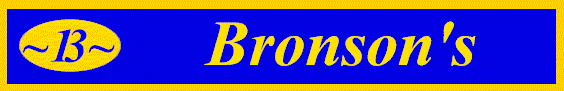 Bronson Logo